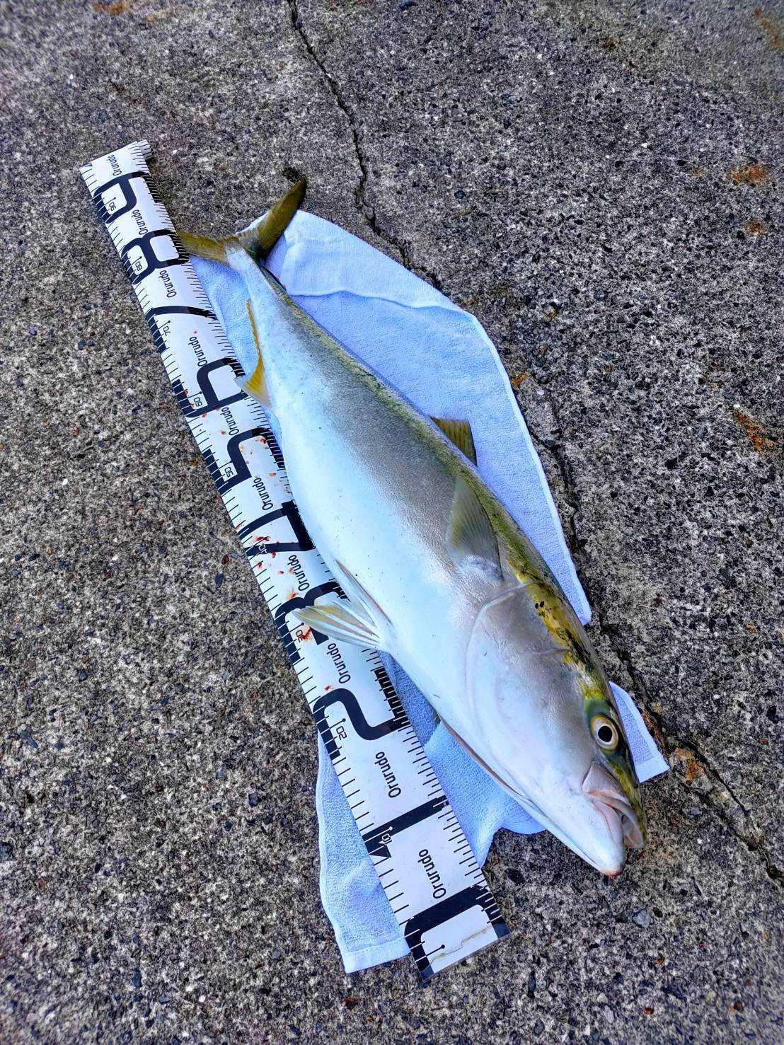 シマノ コルトスナイパー XR S100MH COLTSNIPER ショアジギングロッド