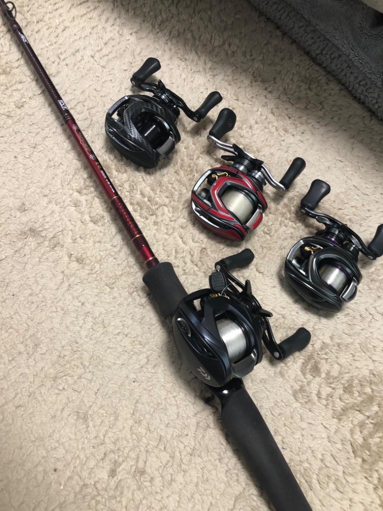 DAIWA（ダイワ） ベイトリール スティーズ A2 TW 1000H(右) : 釣具の