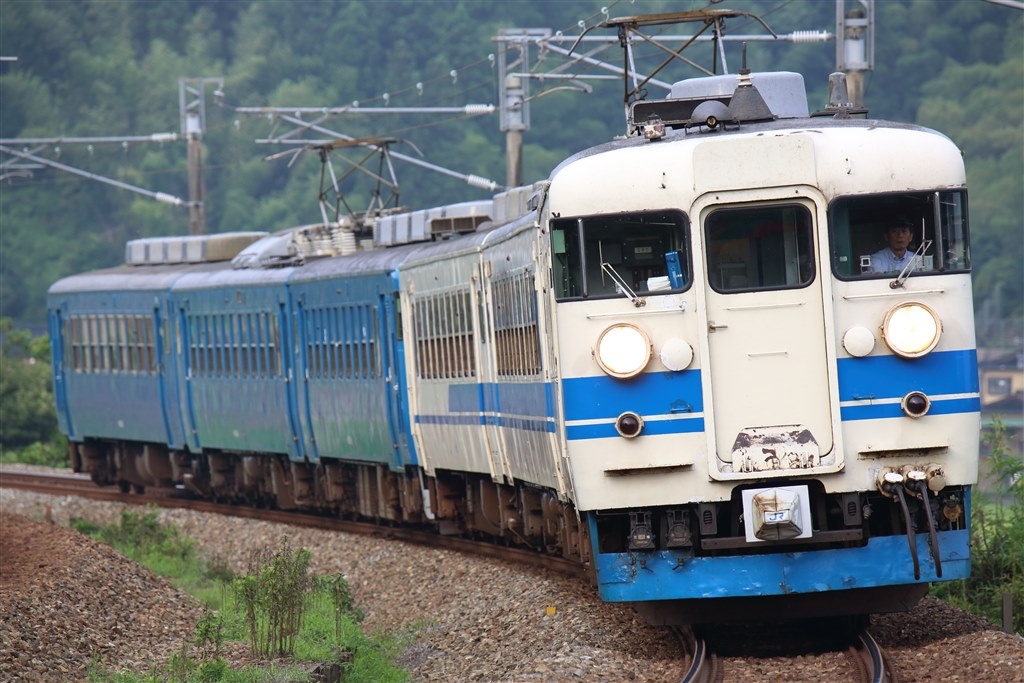 いいレンズですが、少し欠点もあります』 TAMRON SP 150-600mm F/5-6.3