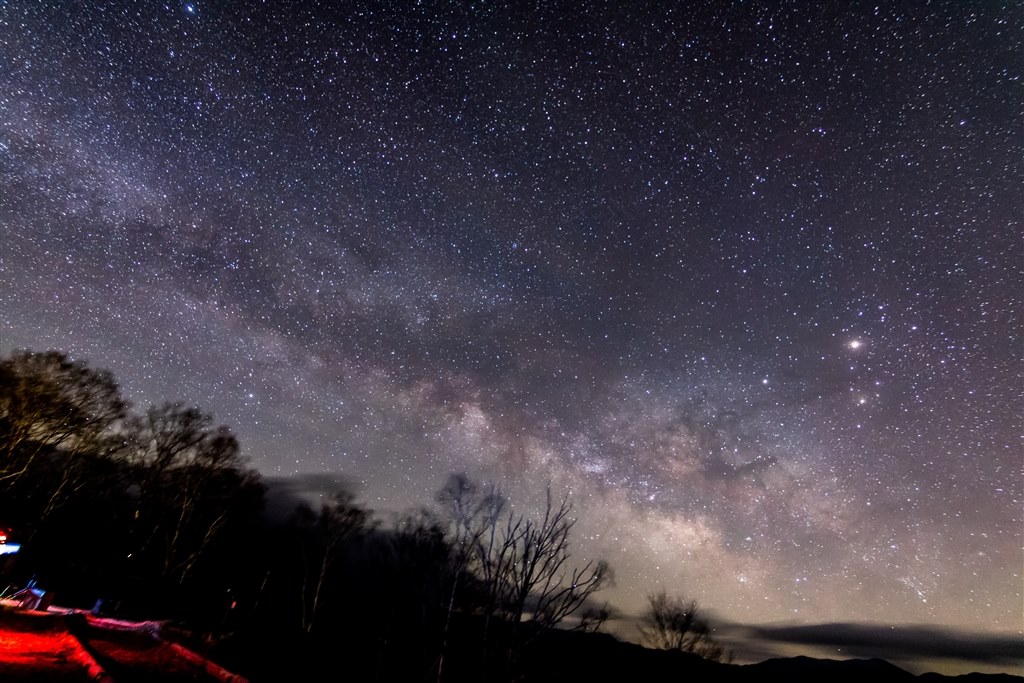 星空撮影用に購入』 TOKINA AT-X 11-20 PRO DX CAF [キヤノン用