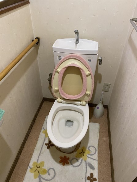 東芝 クリーンウォッシュ SCS-T161 [パステルアイボリー]投稿画像