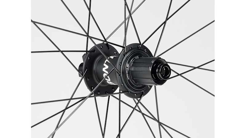 Bontrager Line Comp 30 TLR Boost 29˝ Disc MTB Wheel - Trek Bikes (JP)