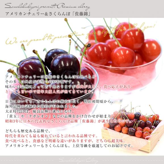 チェリーパイ250 SUS ブラックトビウオ/ピンクヘッド H369 チェリー