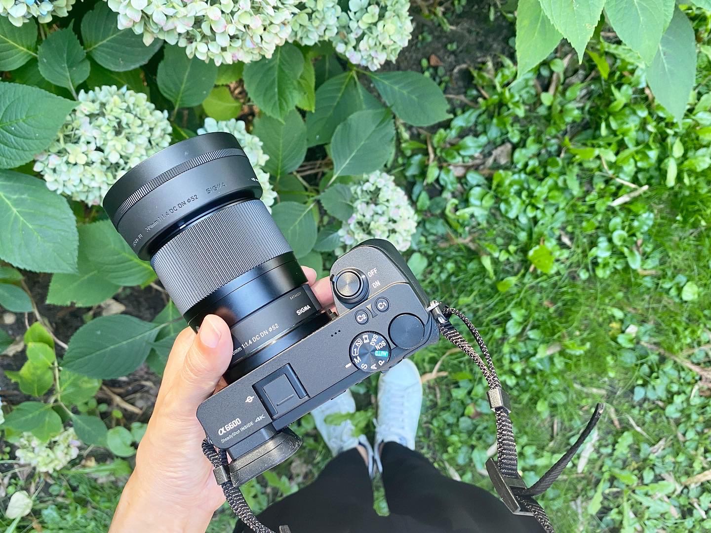 カメラ無知+超初心者】ミラーレス一眼カメラを買いました！Sony α6600