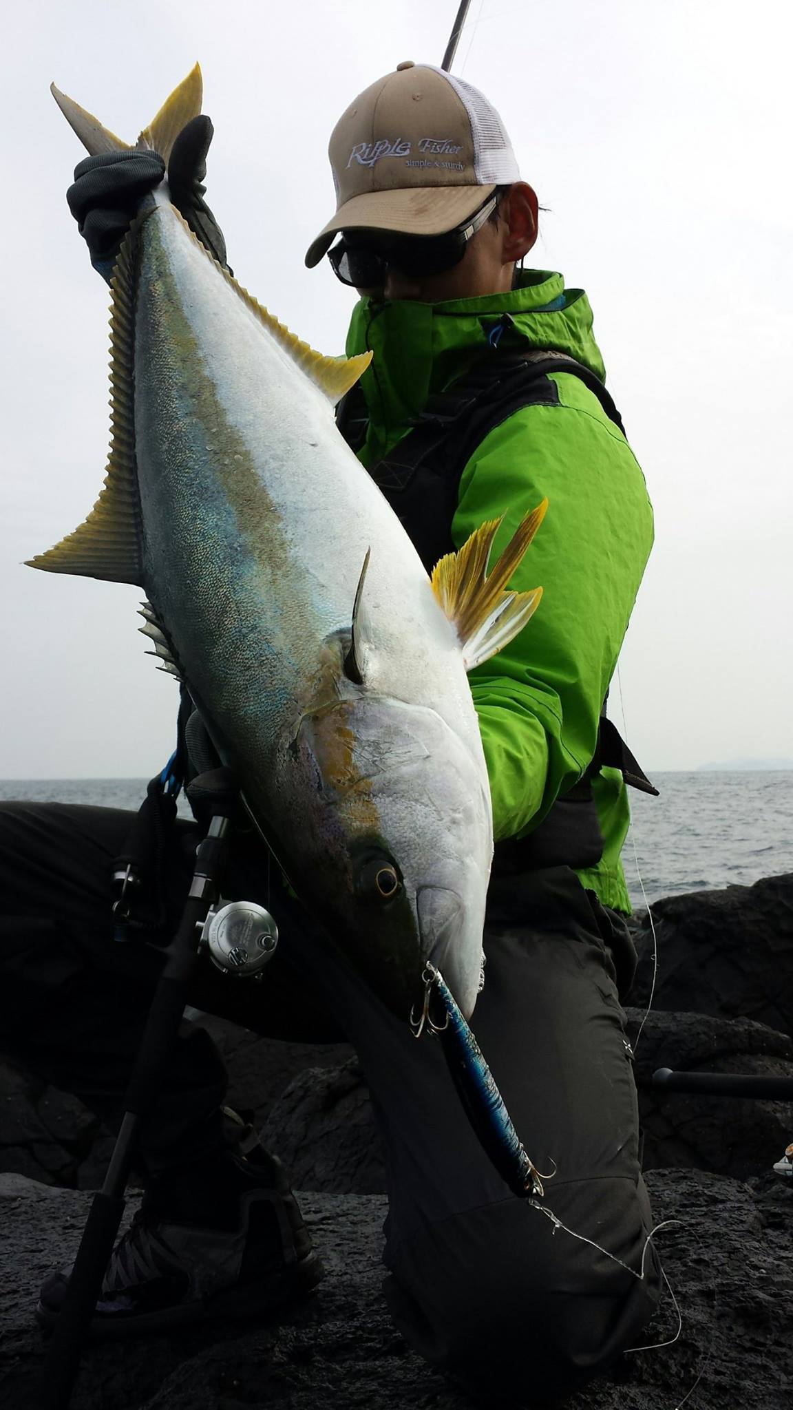 RippleFisher MonsterImpact Avarice110HH BAIT Model Blue Runner