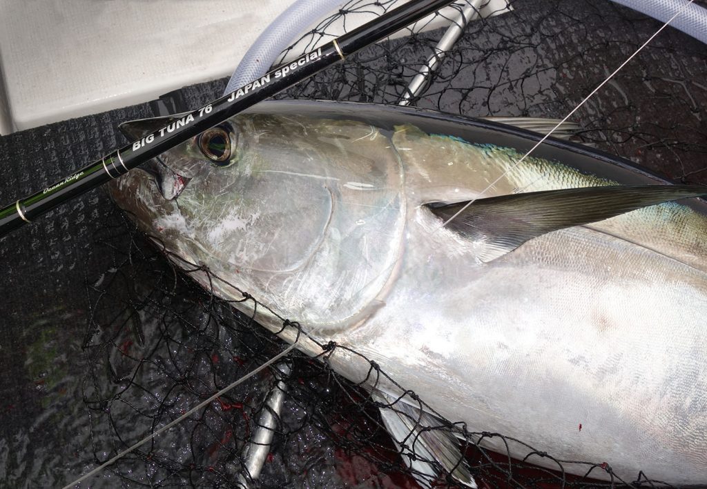 4月発売「BigTuna 76 JAPAN SPECIAL」レポート＆特徴 | リップル