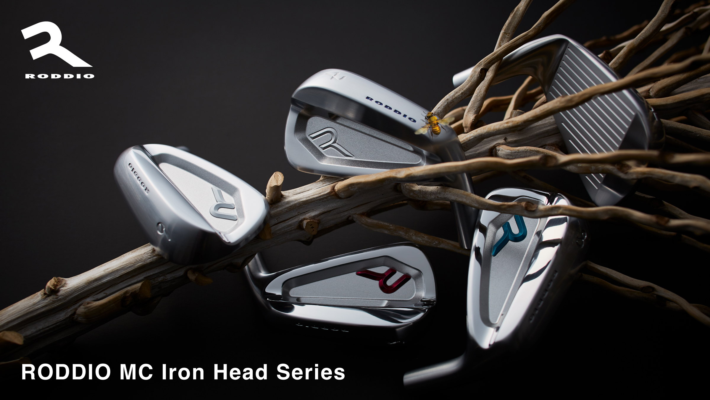 Roddio,ロッディオ | RODDIO