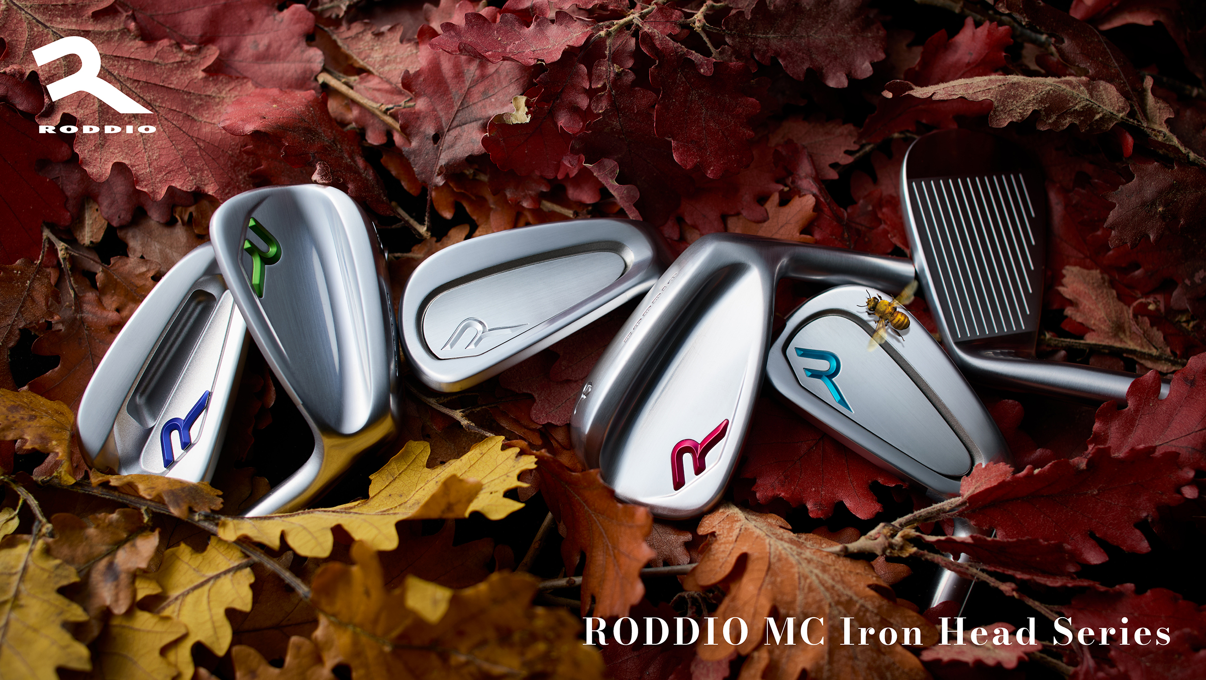 Roddio,ロッディオ | RODDIO