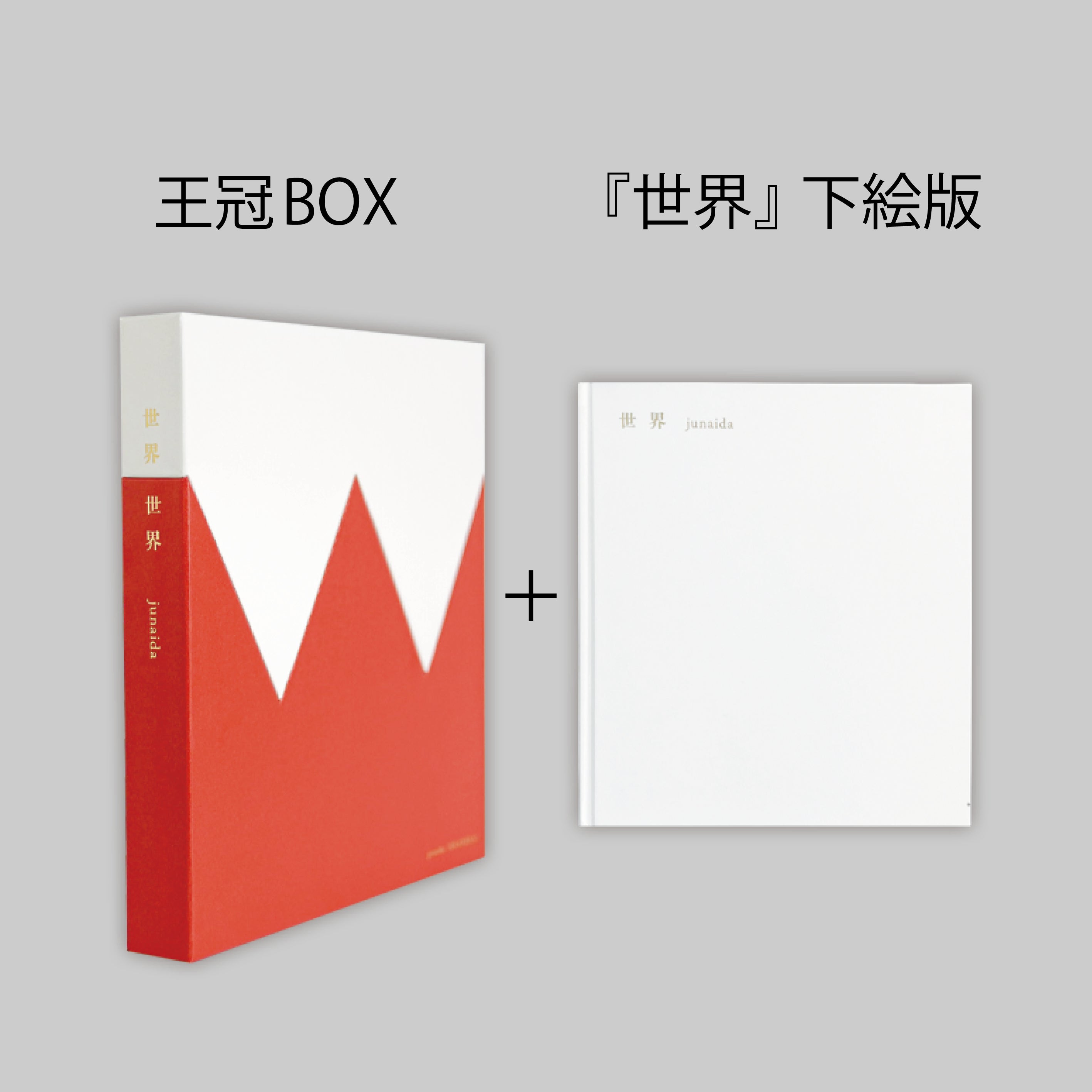 特装版『世界世界』 ボックス＋下絵版セット