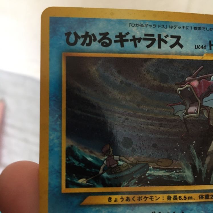 ひかるギャラドス 1枚 (Used) （1396689165）| magi -TCG Marketplace