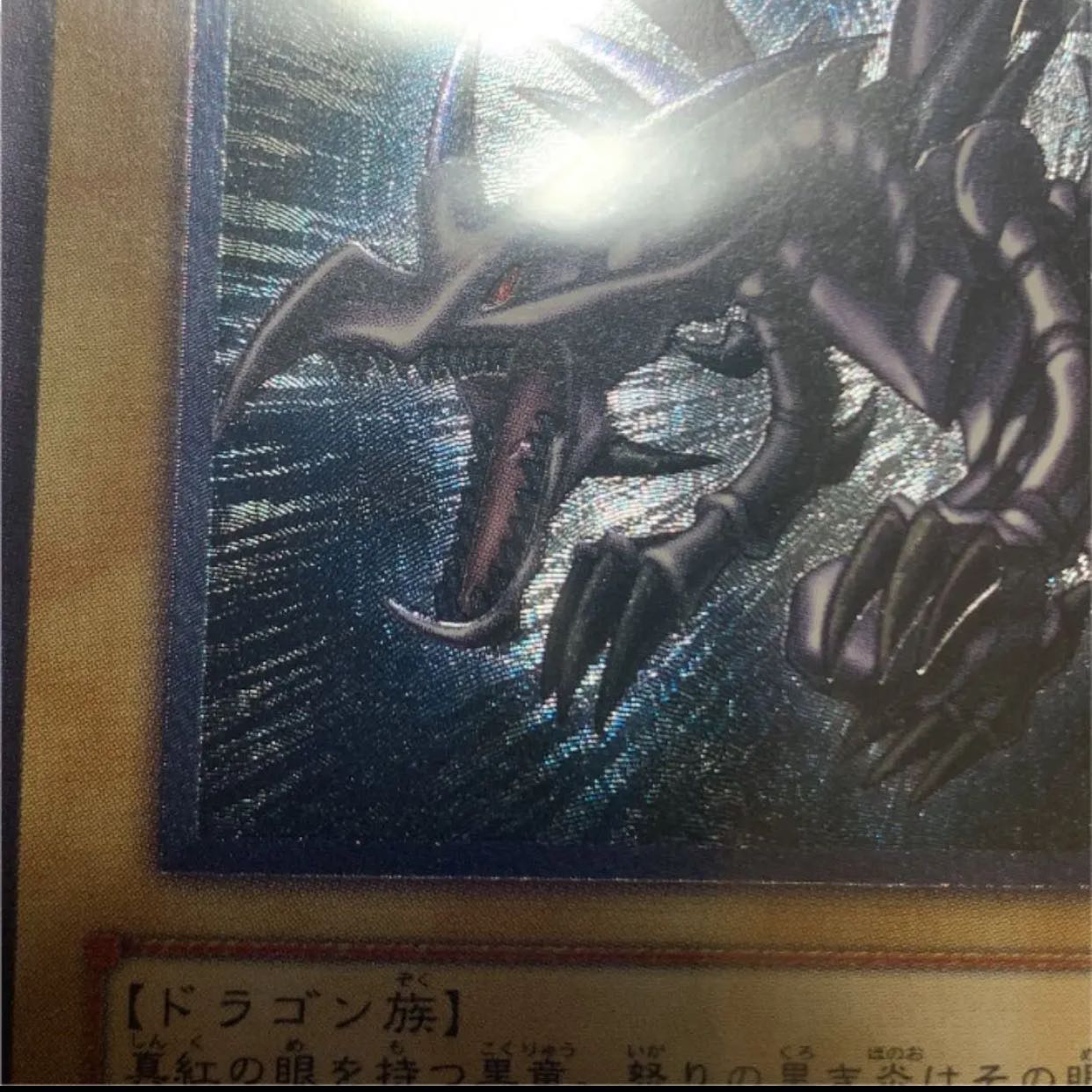 専用 遊戯王 親知らず 真紅眼の黒竜 PSA10 レッドアイズ 1枚の通販