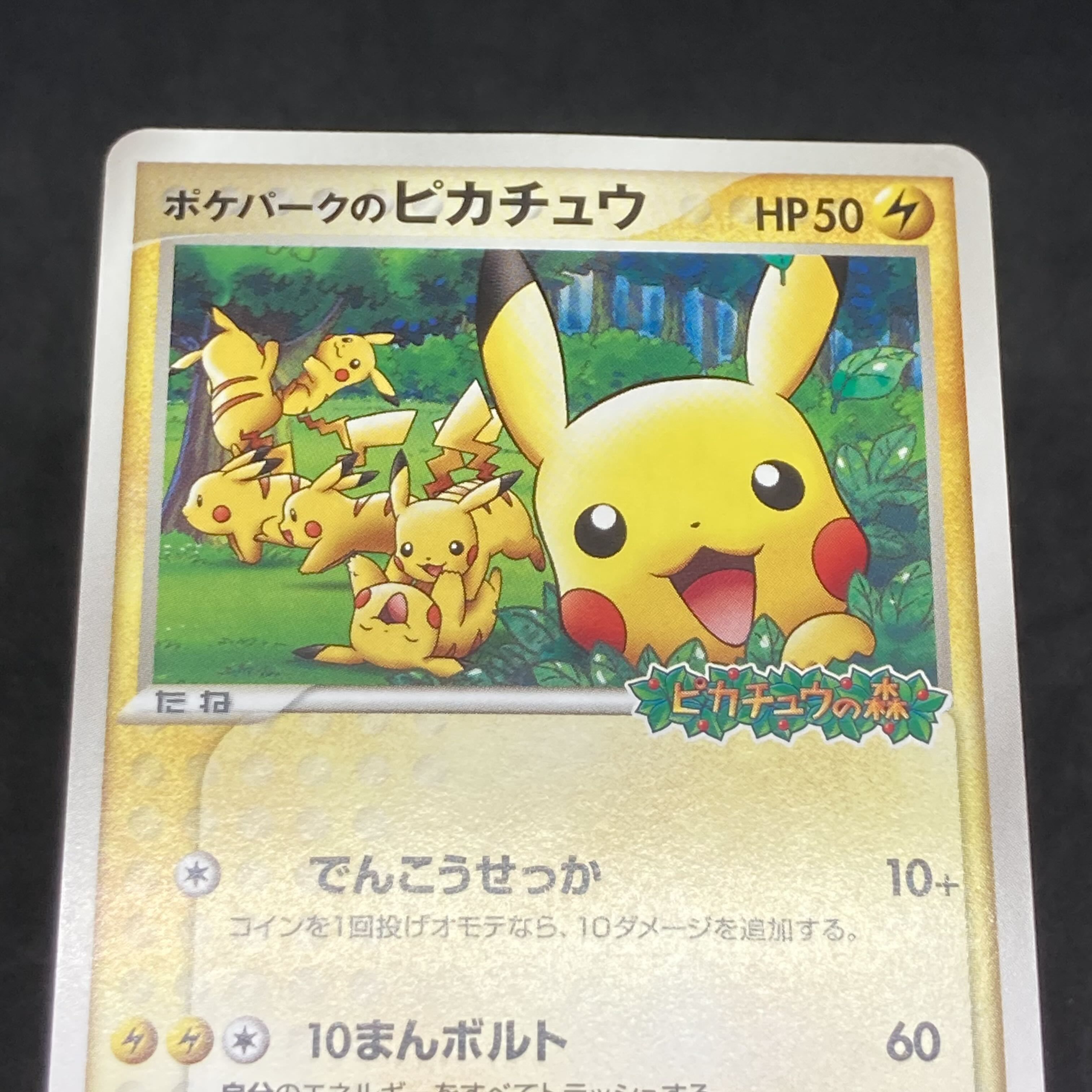 ポケモンカード PCG ポケパークのピカチュウ プロモ 1枚の通販 希少