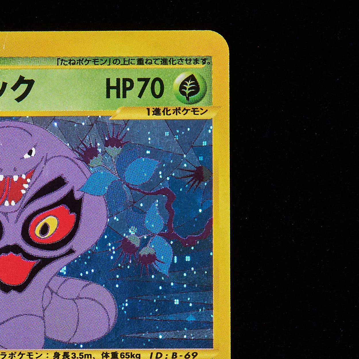 極美品 アンズのアーボック カードe VS 1ed ポケモンカード VS アンズ