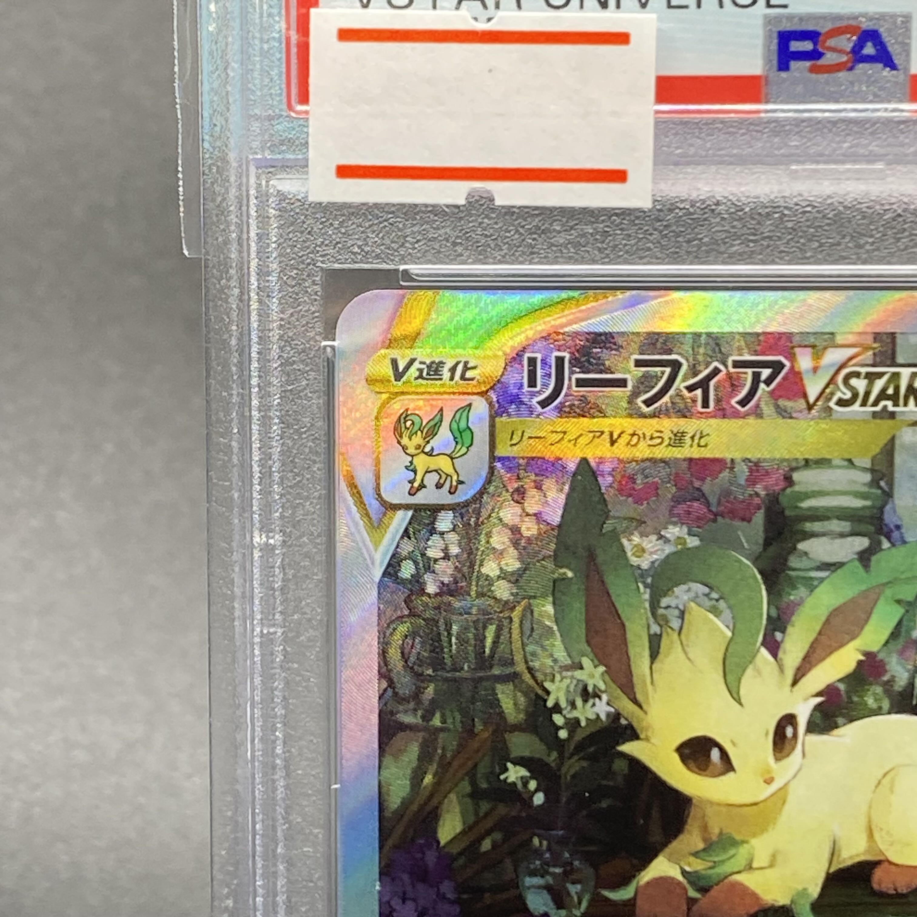 PSA10 リーフィアVSTAR SAR 210/172 1枚の通販 土日祝休 magi公式(委託