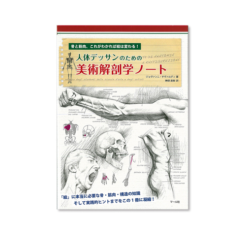 マール社】マール社 人体デッサンのための美術解剖学ノートの通販