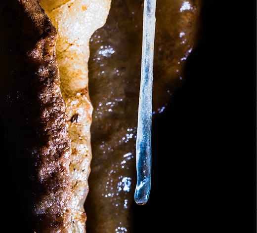 観察法のイロハのイ 自然がつくった神秘の空間鍾乳洞 | Science Portal