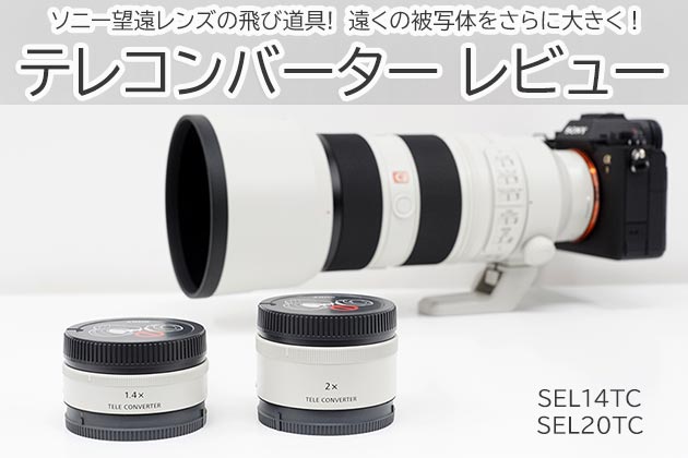ソニーテレコンバーター ｜望遠レンズの飛び道具!作例付きで紹介