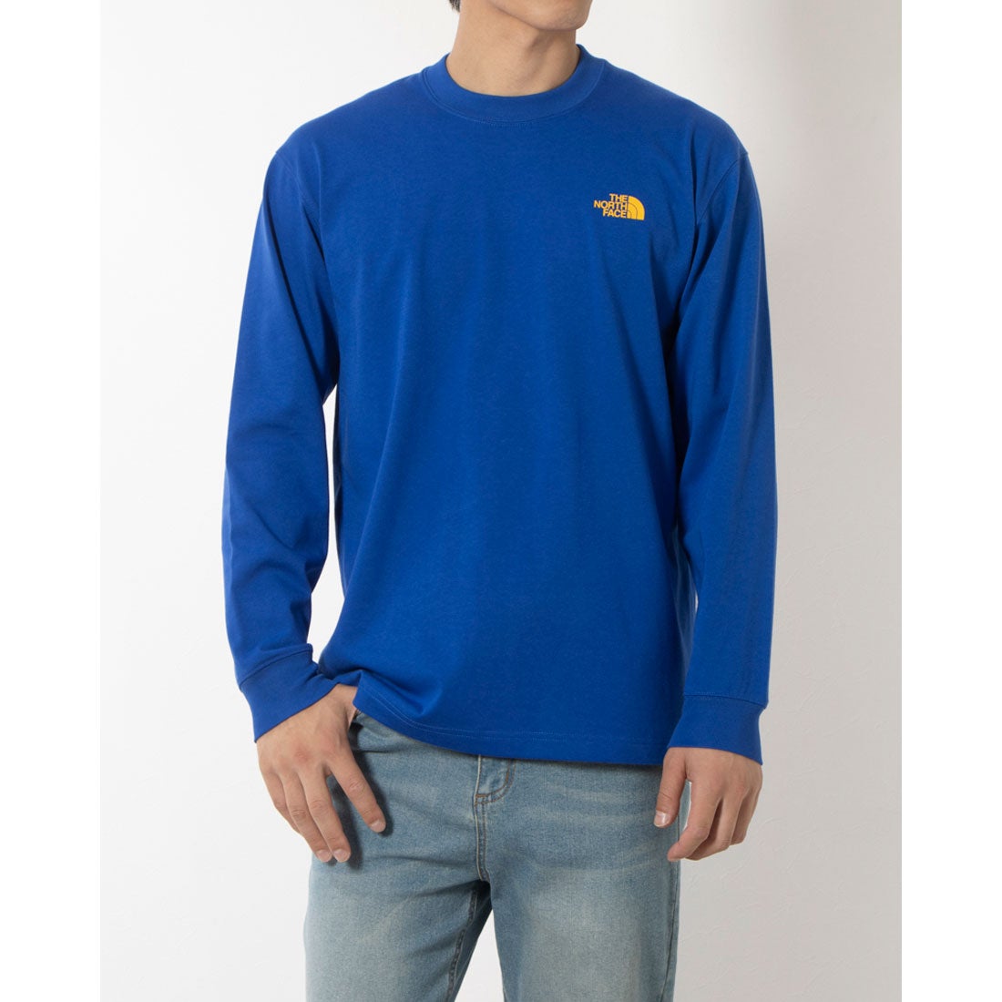 ザ・ノース・フェイス THE NORTH FACE メンズ アウトドア 長袖Tシャツ