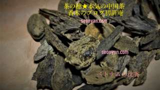 シャム沈香 ベトナム沈梗・本泥とは？ | 茶の穂 香木と本気の茶