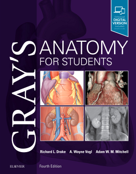 Gray's Anatomy for Students - 4th Edition | Elsevier Shop