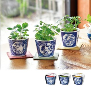 栽培キット専門店｜盆栽・苔・ハーブ・野菜の育てるギフト｜SEISHIN