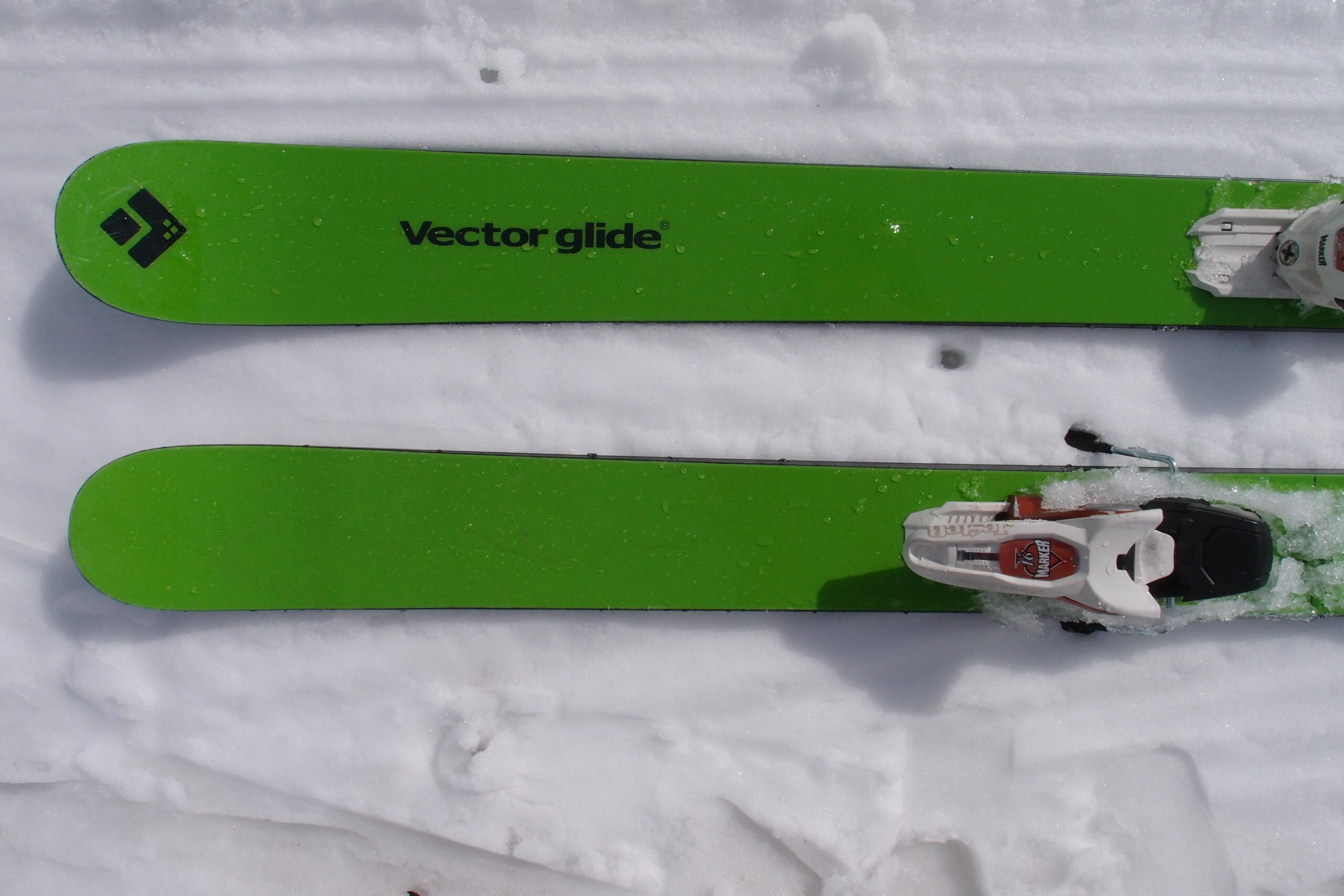 VECTOR GLIDEヴェクターグライド MAKE bc│skibum fancy スキーバム