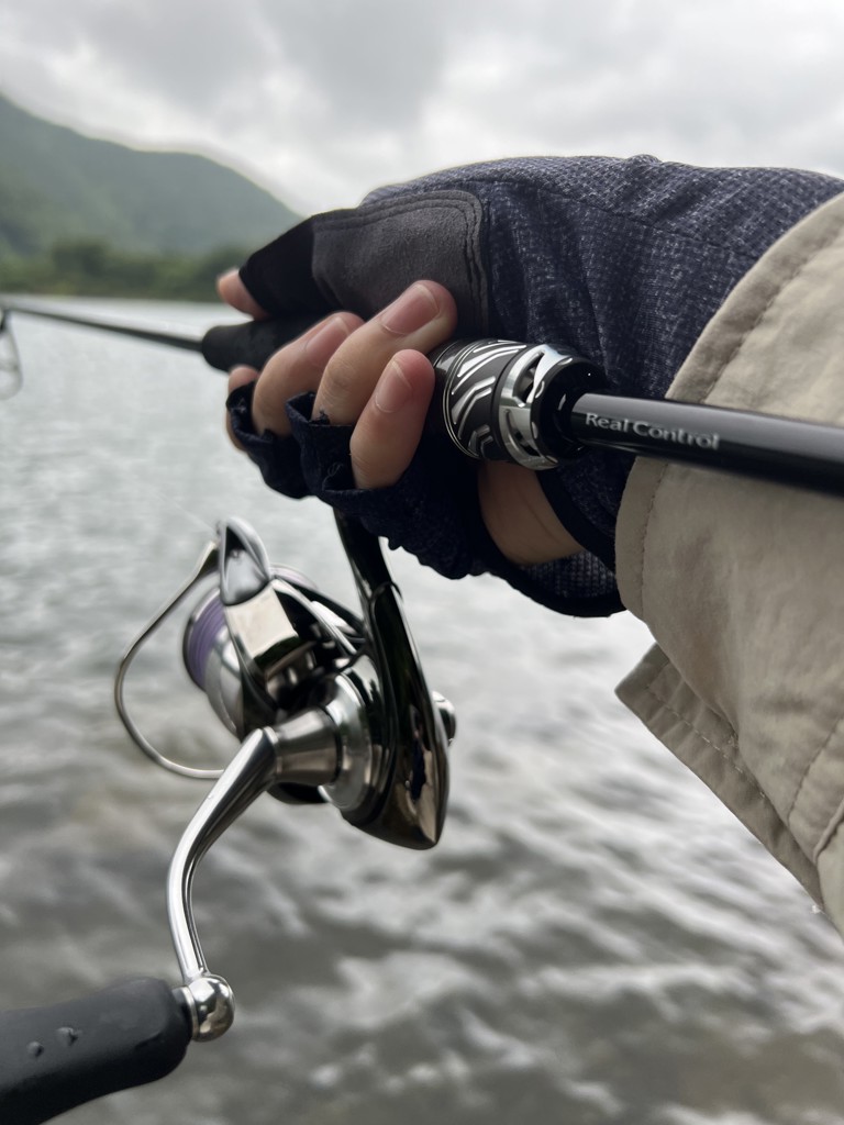 ダイワ スティーズ リアルコントロール S61L-SV 22年追加モデル【大型