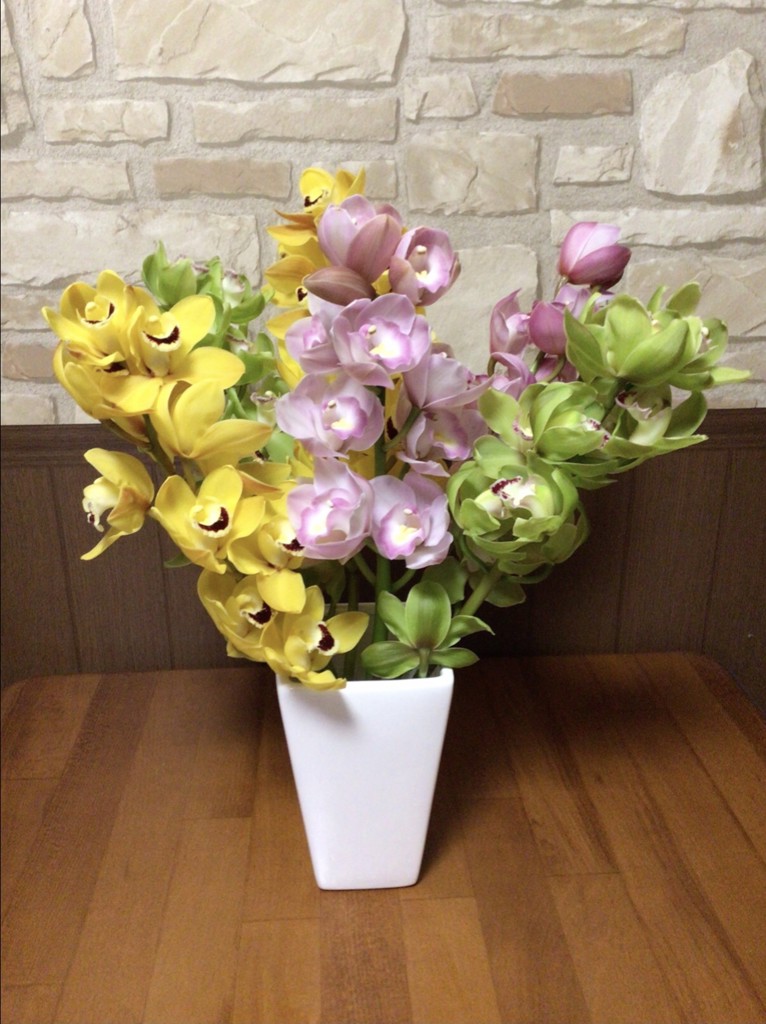 シンビジウム3色ミックス6本入（切り花）送料込み: 新鮮大好き徳島