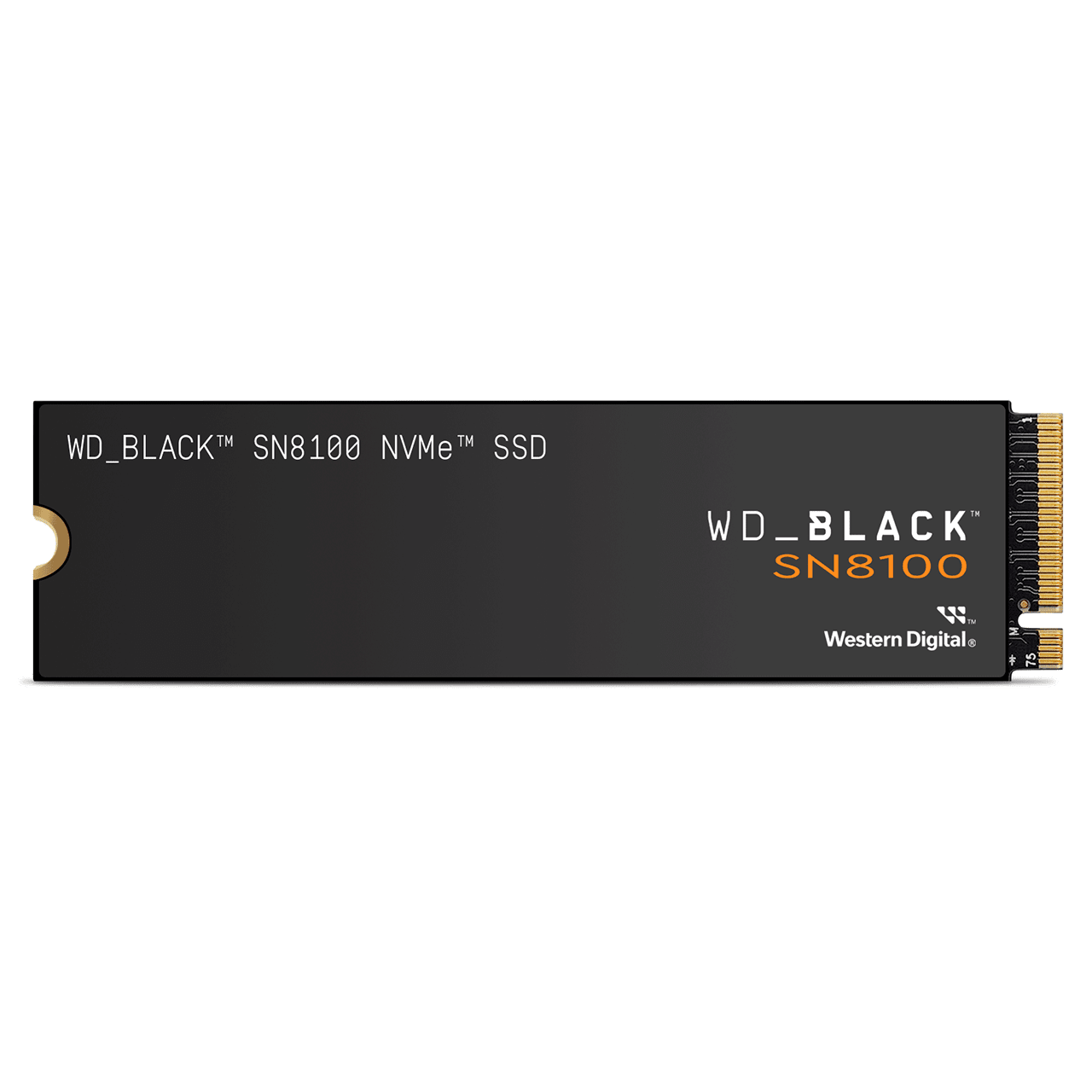 1 TB WD_BLACK SN8100 NVMe SSD ヒートシンク非搭載 | Sandisk