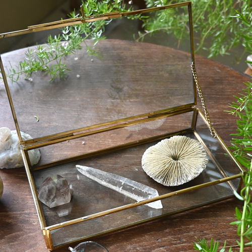 ガラスショーケース - 【シサム工房 公式OnlineStore】FAIR TRADE LIFE