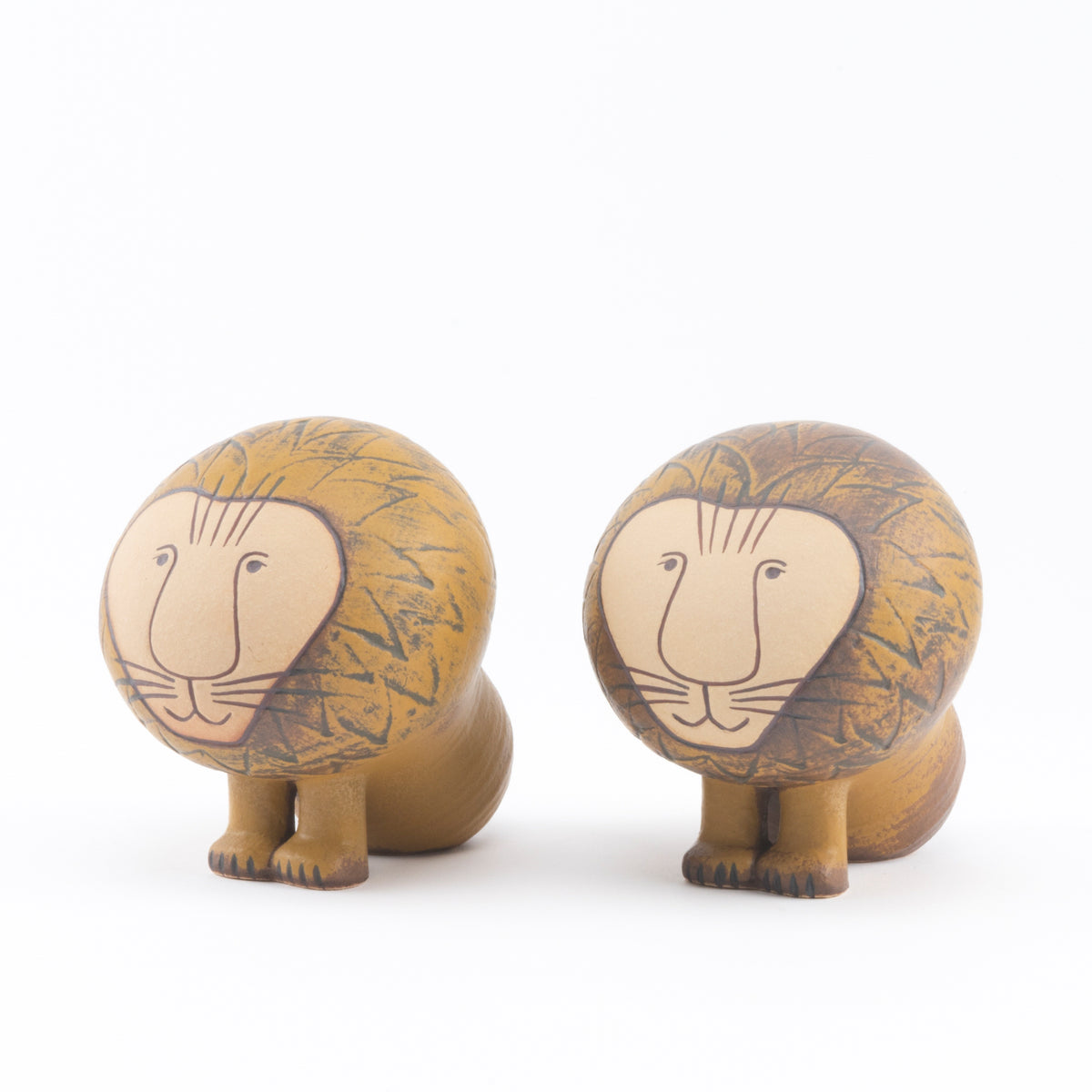 ライオン ミディアム