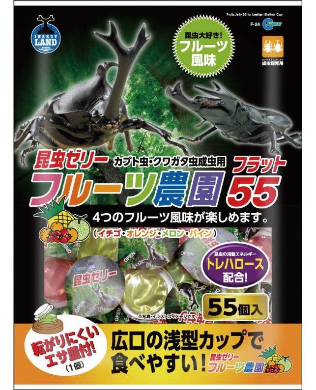 マルカン フルーツ農園フラット55 55個（4906456538547）｜その他