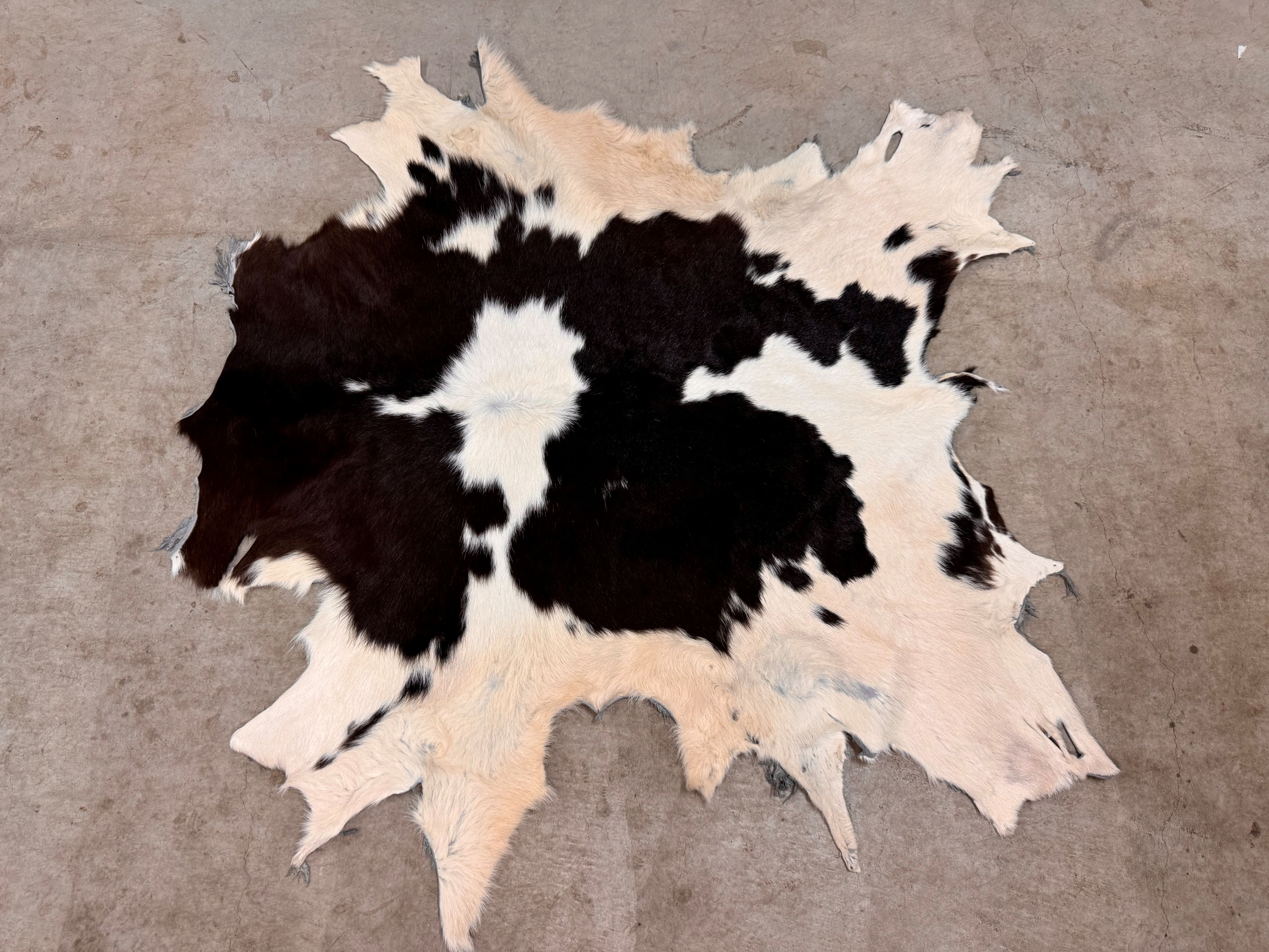 楽天市場】カウラグ ラグマット マット アニマル柄 本革 ファー 子牛