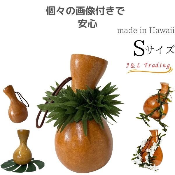 楽天市場】イプ Sサイズ フラ フラダンス 楽器 ハワイ ハワイアン