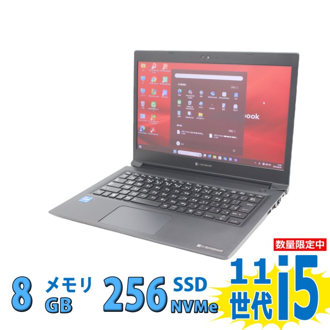 toshiba19-xxx1.jpg