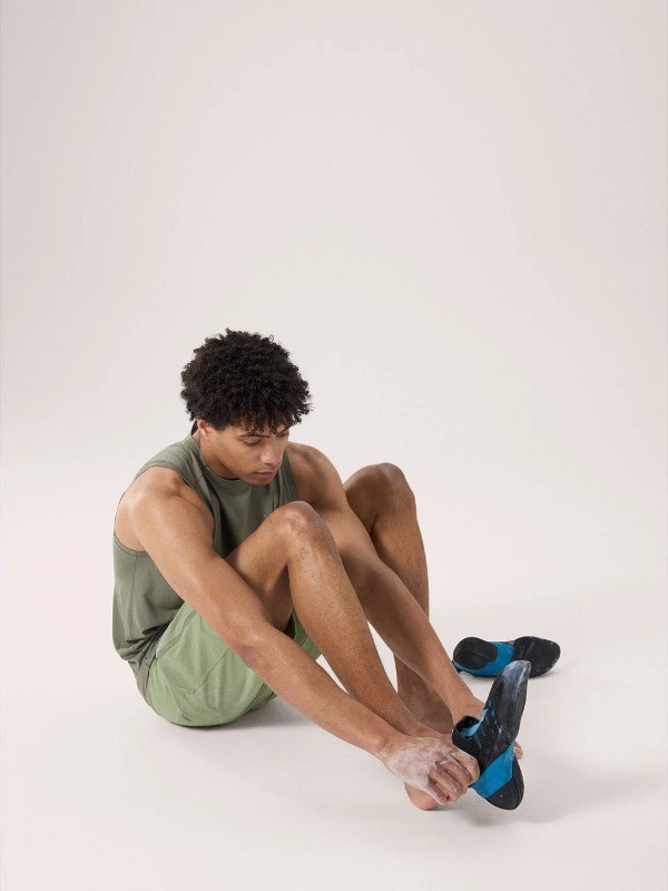 Cormac Tank M #Forage Heather II [X00000813902]｜ARC'TERYX – moderate