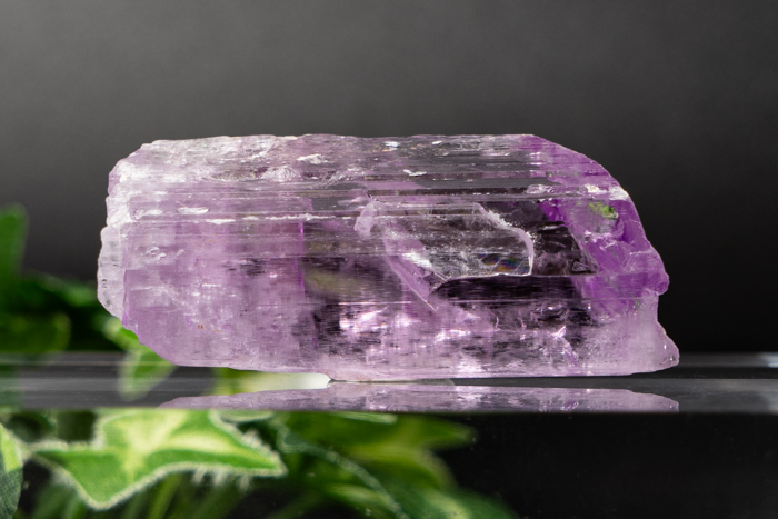 アフガニスタン産 クンツァイト原石 ～ 吉祥寺の天然石販売の「elfhame