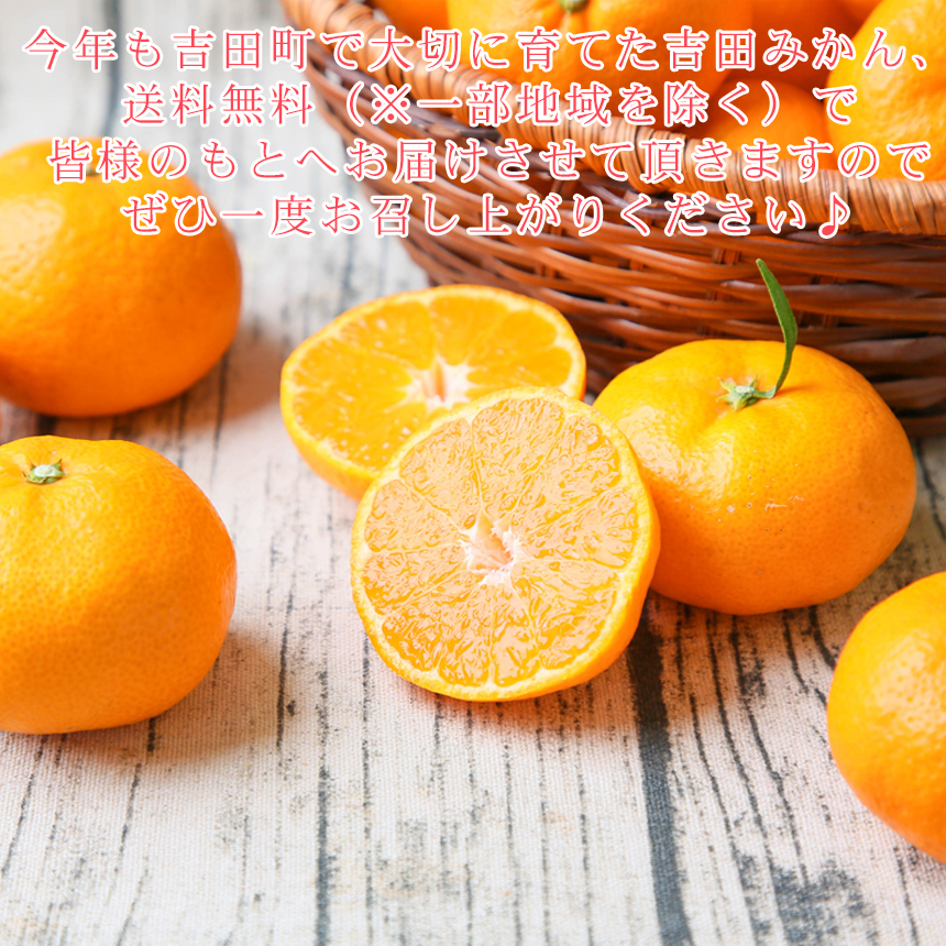 株式会社フレッシュつちやま / みかん 精品 吉田みかん 贈答用 精品 中