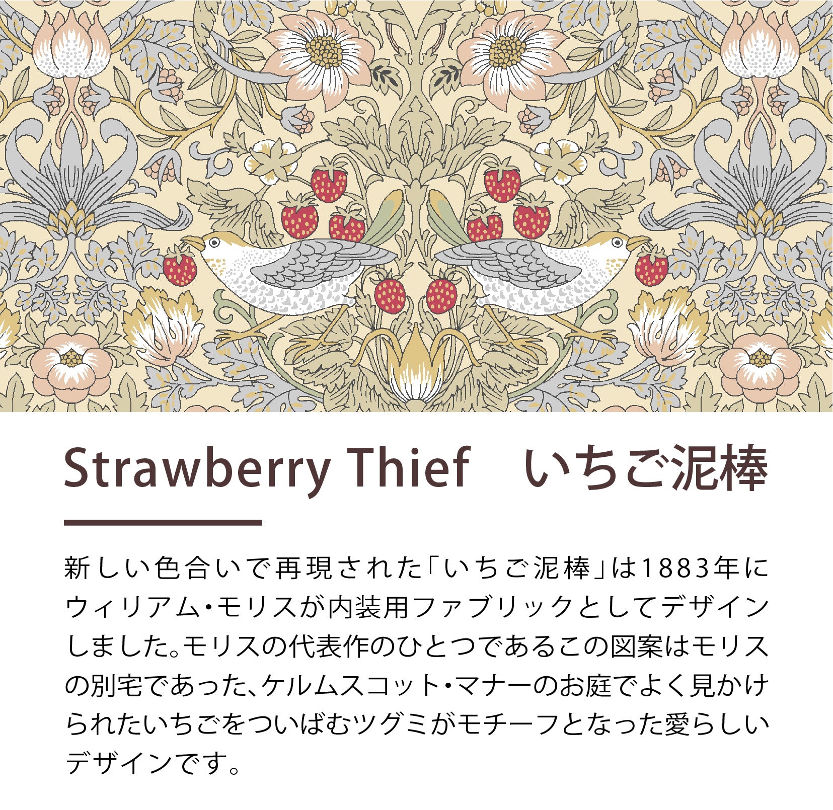 V&A ウィリアム・モリス 麻敷きパッドウォッシャブル いちご泥棒柄 中