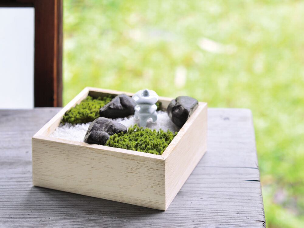 苔庭キット 苔盆 GD-719【栽培セット 苔 庭園 ミニ園芸 苔庭キット