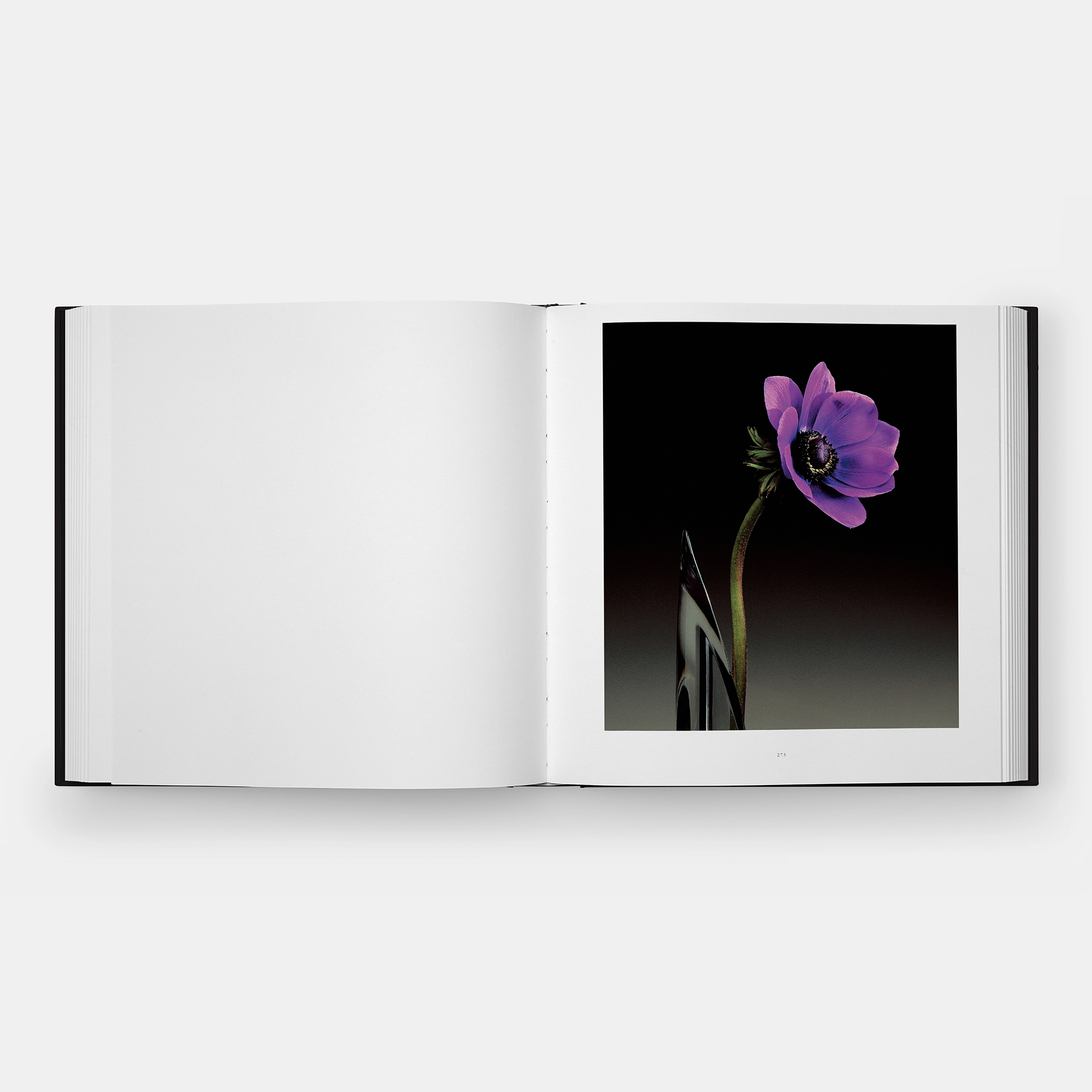 Phaidon - Mapplethorpe Flora: The Complete Flowers | Gessato