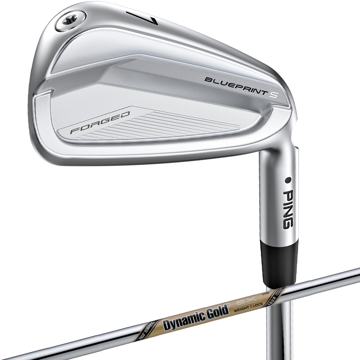 ブループリント S アイアン(5本セット) ダイナミックゴールド EX TOUR