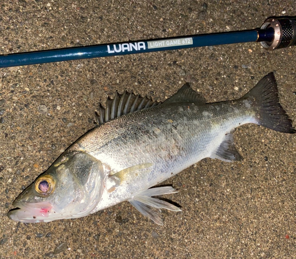 LUANA LIGHT GAME【ライトソルトゲーム用2ピースルアーロッド