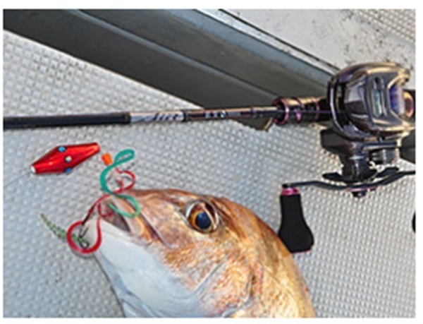 21 紅牙 AIR TYPE-N | イシグロ公式オンラインショップ