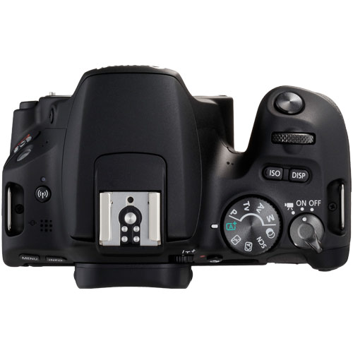 キヤノン EOS Kiss X9 ボディ ブラック | デジタル一眼レフ