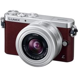 パナソニック LUMIX DMC-GM1SK-A レンズキット ブルー | ミラーレス一眼