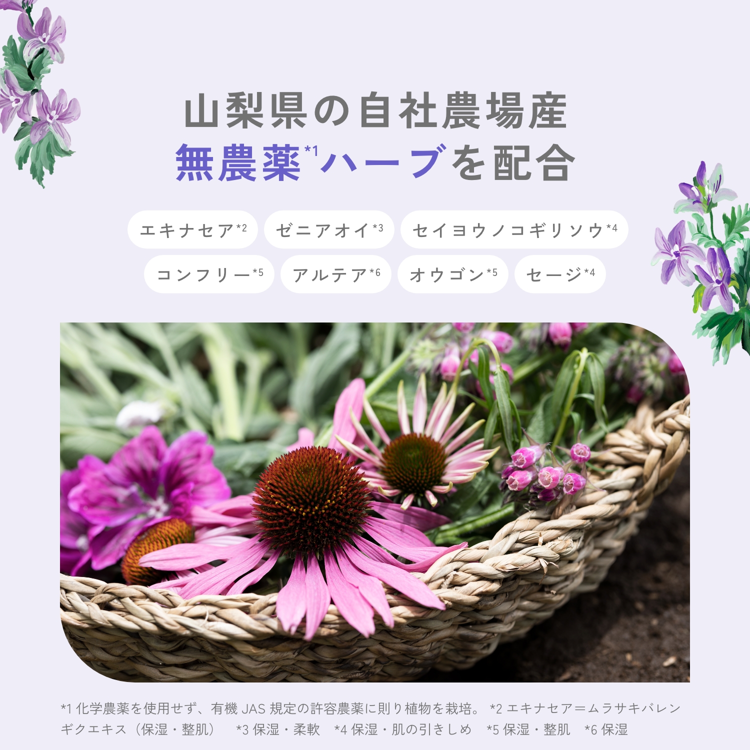 chant a charm 化粧水 オーガニック 爆買 チャントアチャーム 公式