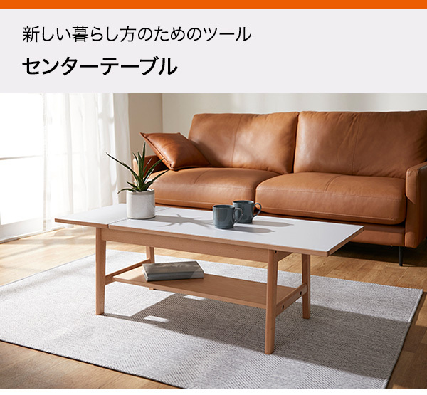 ニトリ（NITORI） 幅120cm 収納棚つきセンターテーブル（新しい暮らし