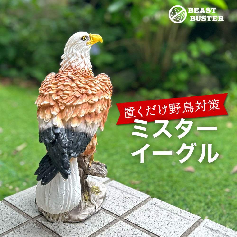 ミスターイーグル 鷹 鷲 タカ ワシ 置物 カラスやスズメなどの野鳥に