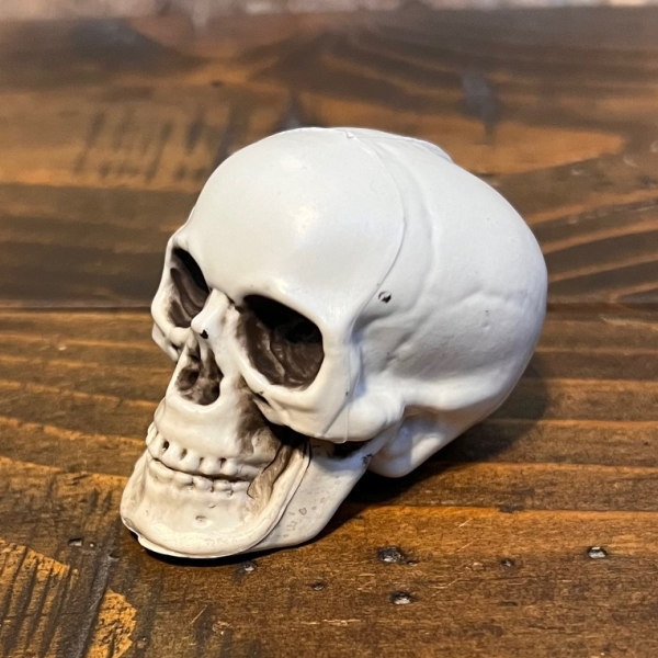 ドクロ SKULL オブジェ ガイコツ 置物 骸骨 スカル 邪気を払う「魔除け